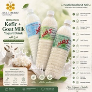 Goat Milk Kefir susu probiotic sour yogurt drink HALAL organic/oregano flavour from kefir grain no s