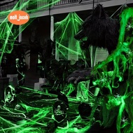 Spider Web  Fake Spider White Stretch Spider Web Halloween Indoor Horror Decoration Props