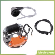 [BlesiyaMY] Mower Parts Chainsaw Ignition Coil Module Kit Replacement for  070 090