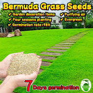 Bermuda Grass Seeds for Planting (200 pcs/pack) Green Grass Seeds for Family Garden/villa Courtyard 