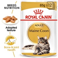 Royal Canin Mainecoon Pouch 85gr - Makanan Basah Kucing Mainecoon