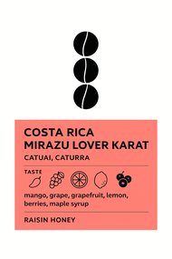 Big m เมล็ดกาแฟ Costa Rica Mirazu Lover Karat