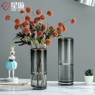 Xingxuan Simple Gold-Painted Glass Vase Water Cultivation Lucky Bamboo Lily Glass Transparent Vase Living Room Table Decoration