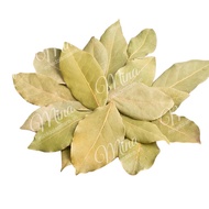 Dried Bay Leaves 10g (BayLeaf Leaves)
