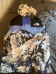The North Face x Supreme 雪山