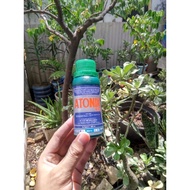 Atonik liquid fertilizer 6.5 L plant growth regulator 100 ML
