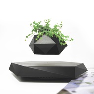 Magnetic Levitation Potted Plant Air Flower Ornaments Diamond Magnetic Levitation Green Plant Bonsai