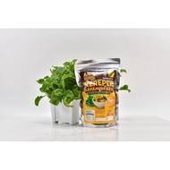 Kerepek Bayam Brazil - Kidspack