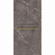 Granit Eleganza IMPERIAL MARBLE GREY Polished 612303DL-V 60 x 120 cm