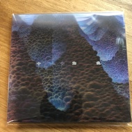 Wang Wen Album < 10,000 Whys > 2LP Color Glue