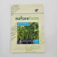 Hong Kong Hong Kong Green Celery Seeds