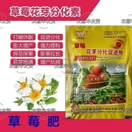 Baja Strawberry fertilizer cytokinin plant auxin to increase flower bud differentiation hormone foli