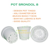 DM Pot SRONDOL 8 cm PUTIH Pot Polos Tinggi 8cm Pot Bunga Tanaman Kecil
