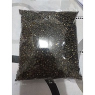 Kacang Tauge Hitam(Black Matpe)