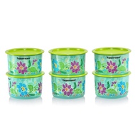 One Touch  Set Tupperware