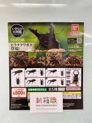 🔚新箱識 🌟9月新貨🌟 行版 扭蛋 大圖鑑系列 鍬形蟲 第6彈 扁鍬形蟲 橘背叉角鍬形蟲 深山鍬形蟲  鋸鍬形蟲 黑色 鋸鍬形蟲 啡色 一套5款