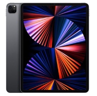 iPad  Pro 太空灰 第五代 12.9吋