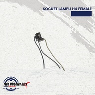H4 Female Lamp Socket + Universal Cable