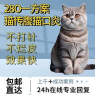 新日期2801猫传腹腹水杯状口炎干性湿性冠状腹膜炎红肿印度正品New Date 2801 Cat-transmitted Abdominal Ascites Cup Mouthudrn382.my