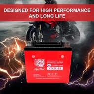 【Activity】【Quality Assurance】Tiger Head Motorcycle Battery 12V Motolite Battery ( YTX4L-BS, YTX5L-BS
