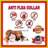 ANTI FLEA COLLAR | KOLAR KUTU KUCING,ANJING+ FREE🎁