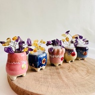 許願水晶樹 招財開運 風水 健康祈福 交換禮物 發財樹 畢業禮物