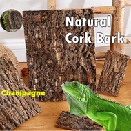 Champagne Bark Reptile Box Climbing Reptile Fish Tank Driftwood Decoration Lizard Bark Cork