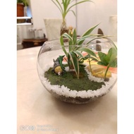 Decorative Feng Shui Flowers Custom Made特制手工风水盆栽