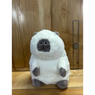 Albino white teddy bear