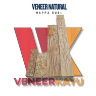 Veneerwood Mappa Burl Wood Veneer Veneer