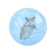 ☟Hamster Exercise Balls Jogging Exercise Wheel For Small Animals Safe Running Hamster Wheel Smal ▷✌