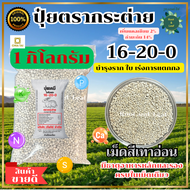 ปุ๋ยตรากระต่าย สูตร 16-20-0 กระสอบสีขาว บำรุงต้น ใบ และผลเพิ่มแคลเซียม 3% เม็ดสีเทาอ่อน ละลายง่าย พื