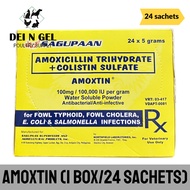 SAGUPAAN AMOXTIN 5 GRAMS (1 BOX/24 SACHETS)