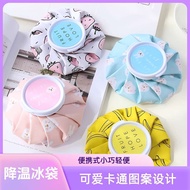 Ice Pack Exercise Ice Pack Ice Cubes Household Ice Pack Cold Pack Cooling Cooling Physiotherapy Dedi