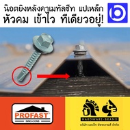 * ขายยกกล่อง * น๊อตยิงหลังคา สกรูยึดหลังคา เมทัลชีท แปเหล็ก (ยี่ห้อ PROFAST)