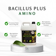 Bio Xplus  BACILLUS PLUS+ dengan tambahan AMINO (Perawat Kulat Secara Organik) 5 Liter