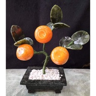 ✴♂❇Kiat kiat Money Tree Charms Display