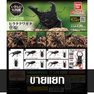 Separate Bandai THE DIVERSITY OF LIFE ON EARTH Stag Beetle Kuwaita 06 6 Gashapon Gachapon Ikimono
