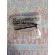 Exhaust Valve Fury 125 12005-0713