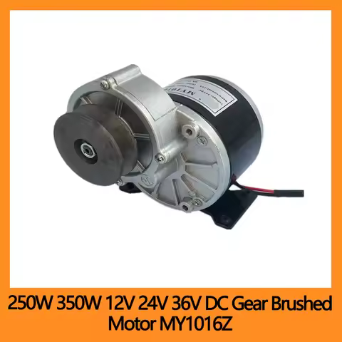 250W 350W 12V 24V 36V DC Gear Brushed Motor MY1016Z With Belt Pulley Electric Tricycle Electric Bicy