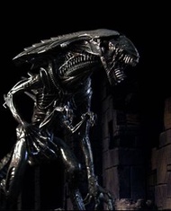 異形后 Alien Queen Alien vs Predator AVP figure predator 異獸戰 異形 鐵血戰士