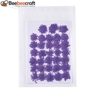 1bag Pressed Dried Flowers for Cellphone Photo Frame Scrapbooking Handmade Craft Dark Violet 15-20x1