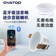 Speaker Ceiling Bluetooth Music Living Room Ceiling Background Speaker Ceiling Embedded Family Speak