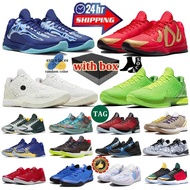 With Box Designer Mamba Basketball Fashion Mambas 8 Eybl Protro 6 Reverse Grinch What The Mambacita 