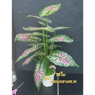 Ready To Ship Artificial Plants 18 Caladium Trees 75 Inches Tall Cm.