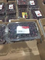 新鮮藍莓 智利 510g 除了面交，一律冷凍出貨 價格依現場購買再加50元代購費