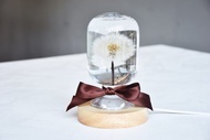蒲公英浮游花水晶球小夜燈