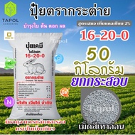 ปุ๋ยตรากระต่าย สูตร 16-20-0 ยกกระสอบ 50 กิโลกรัม กระสอบสีขาว บำรุงต้น ใบ และผลเพิ่มแคลเซียม 3% เม็ดส