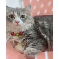 MOONRIX Oyen Sweet Candy Pet Necklace Cats | Handmade Collar with Bell