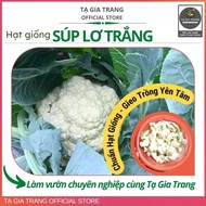 Cauliflower seeds (white cabbage) - Ta Gia Trang seed Shop